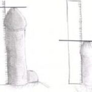 Roads to increase the penis